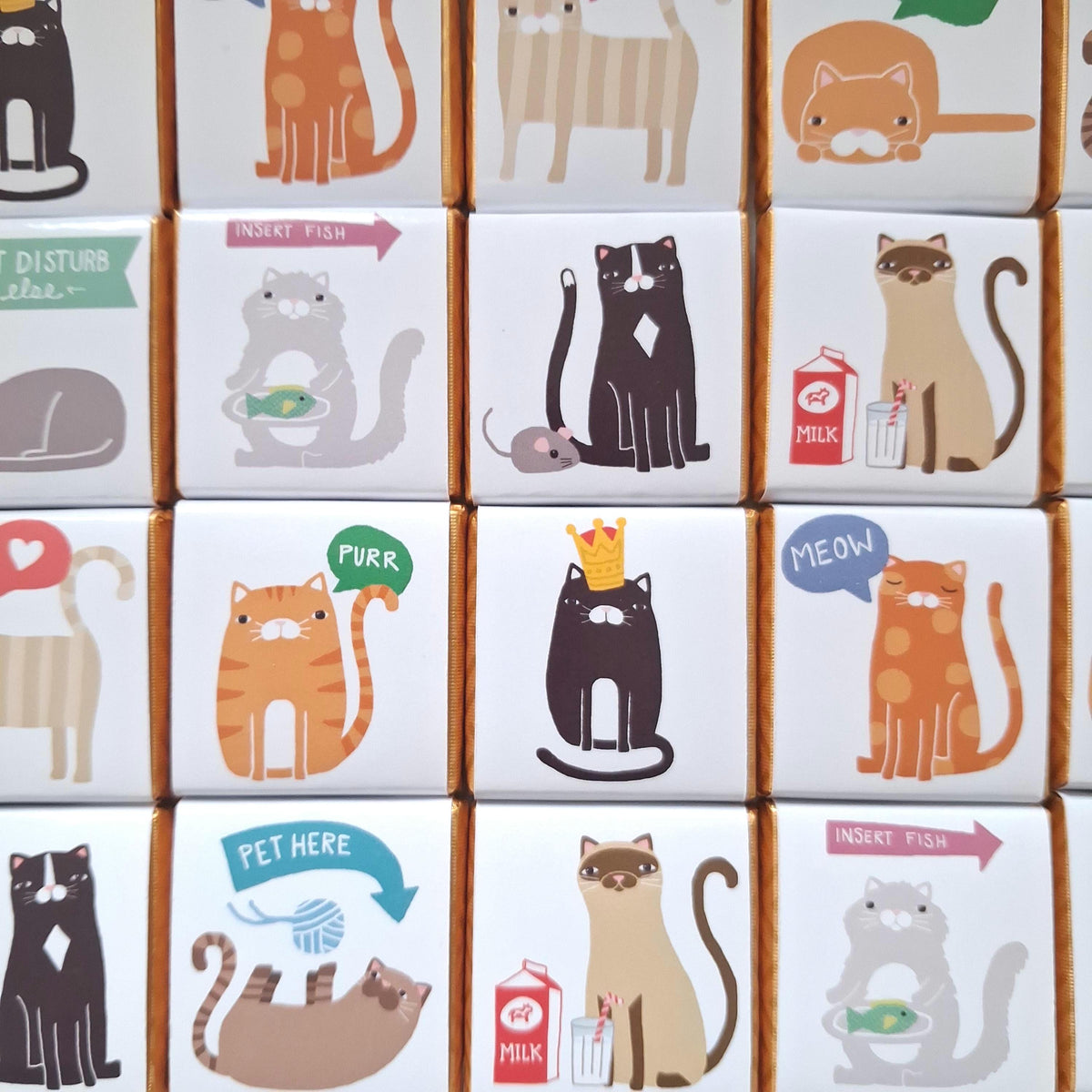 Personalised Cat Chocolate Favours – Kitten Theme Party Treats