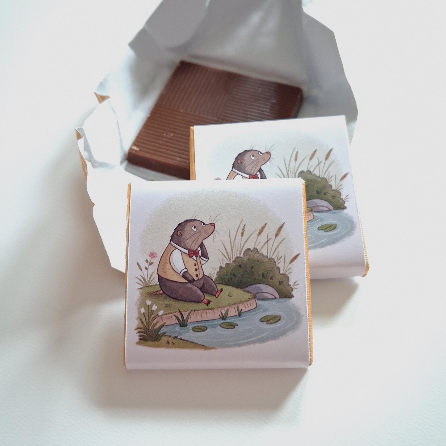 Personalised Little Mole Party Favours, Kids Birthday Treats, Customised Childrens Gift, Party Bag Fillers