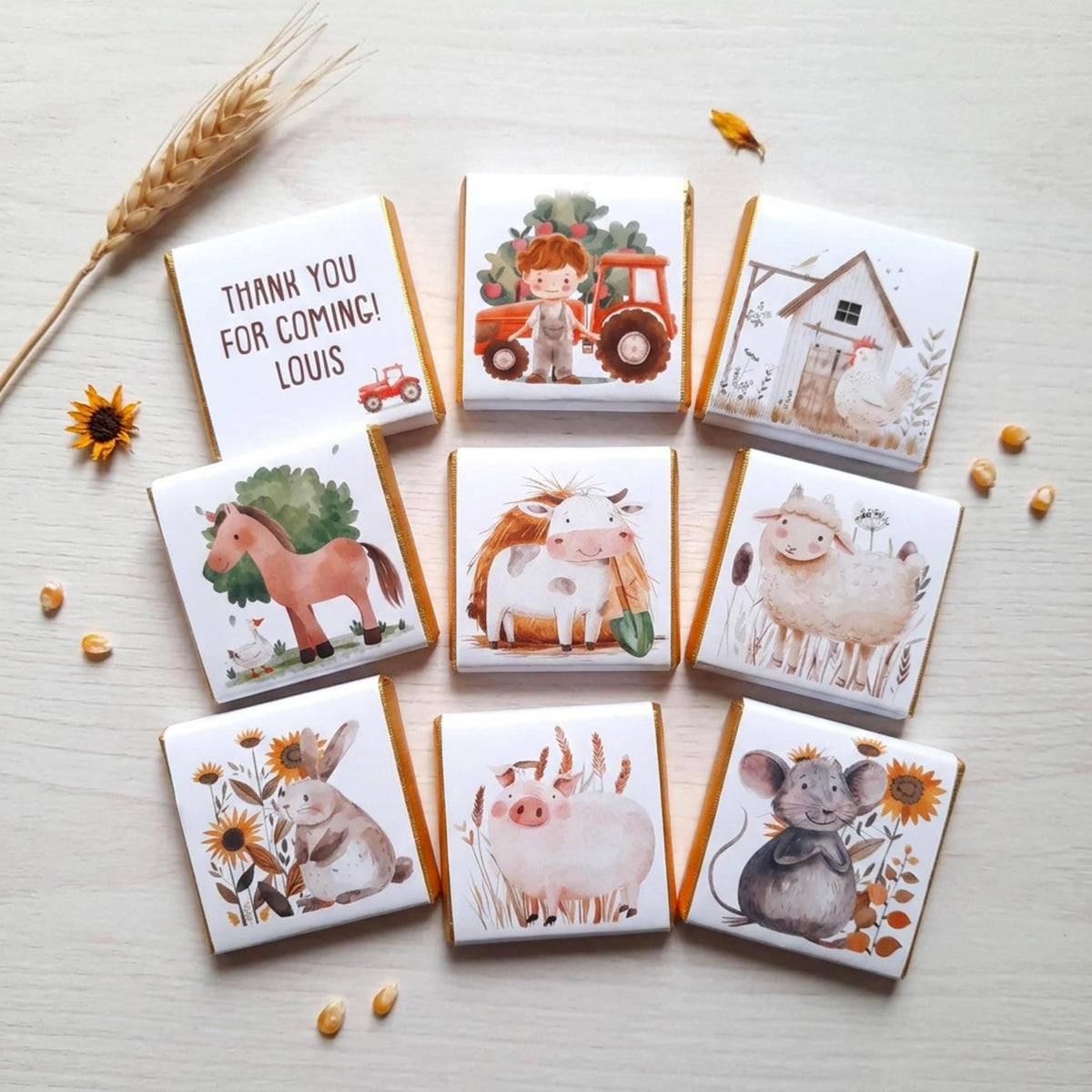 Personalised Farmyard Chocolate Favours – Farm Birthday Party Treats