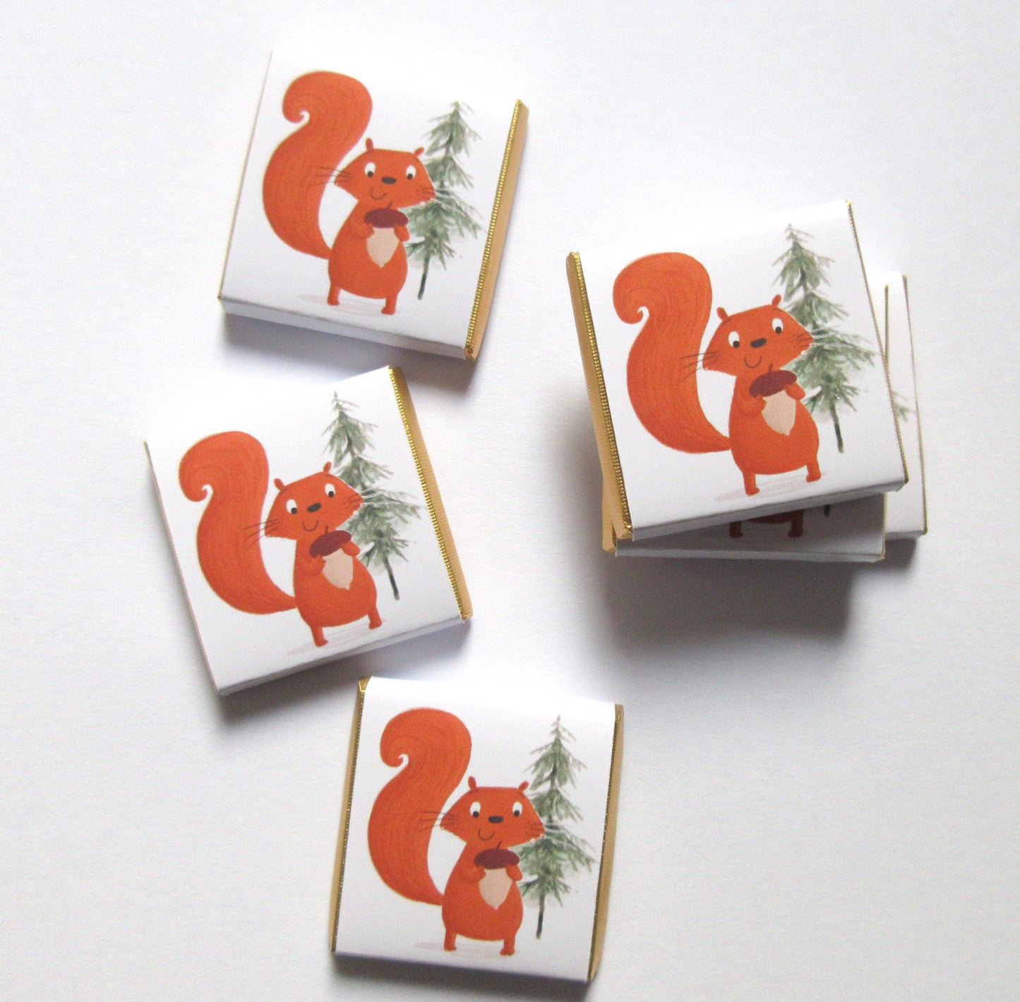 Personalised Red Squirrel Chocolates – Woodland Theme Party Favours, Forest Animal Treats