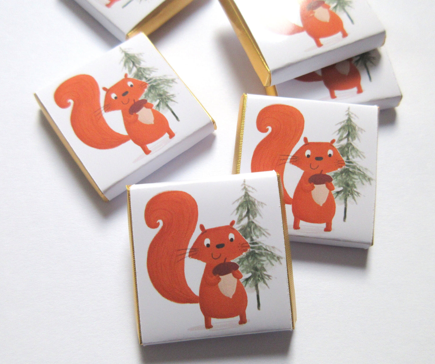 Personalised Red Squirrel Chocolates – Woodland Theme Party Favours, Forest Animal Treats