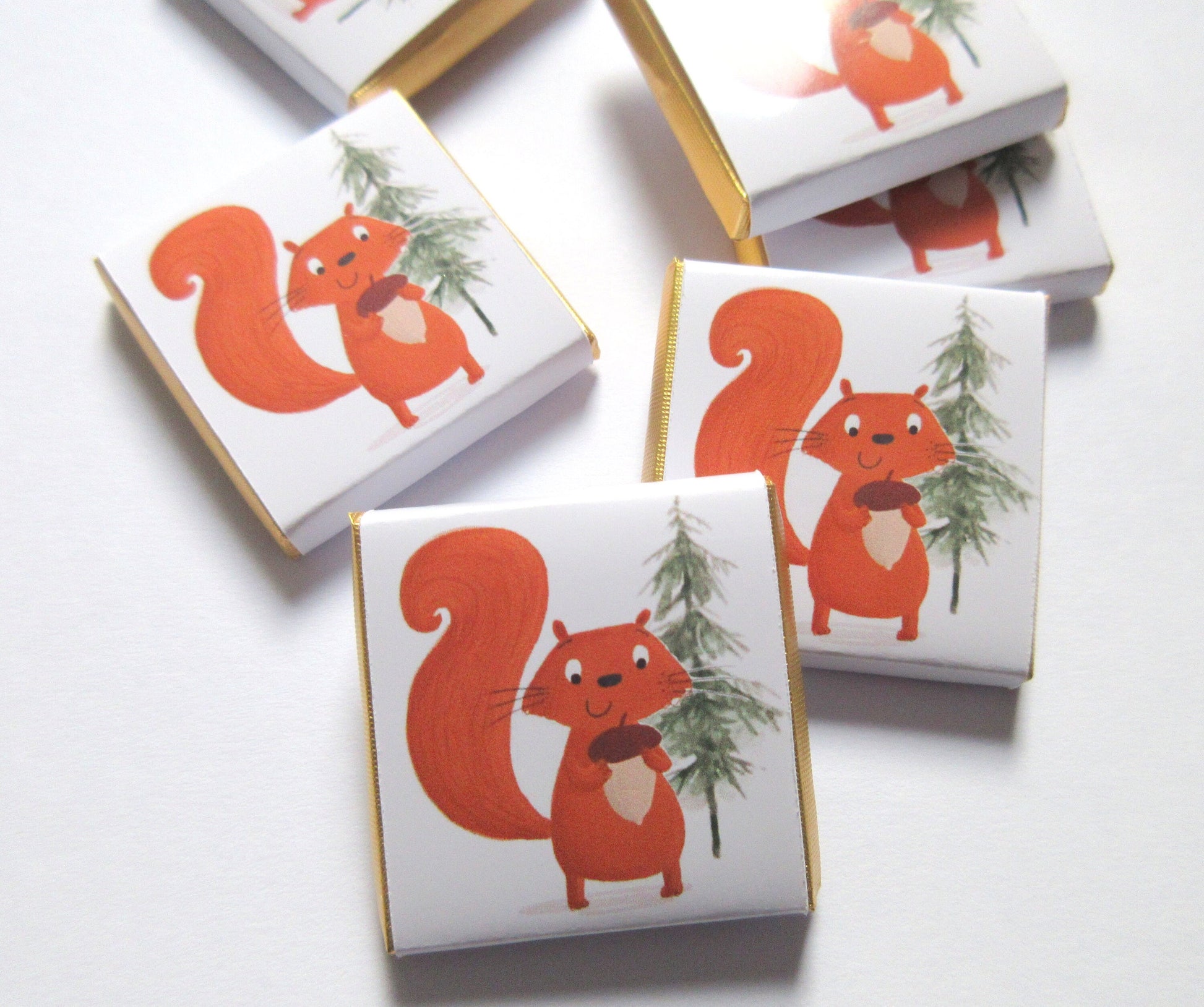 Personalised Red Squirrel Chocolates – Woodland Theme Party Favours, Forest Animal Treats