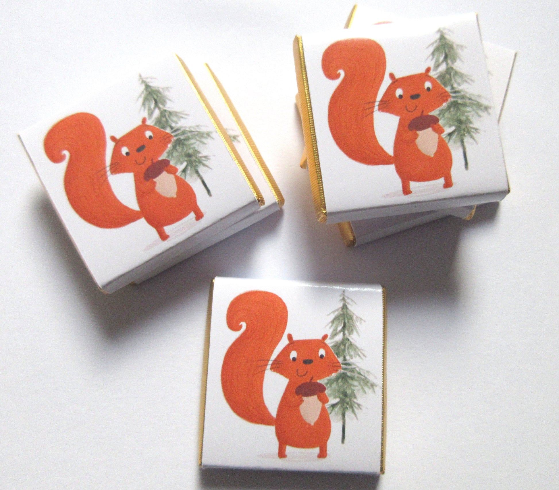 Personalised Red Squirrel Chocolates – Woodland Theme Party Favours, Forest Animal Treats