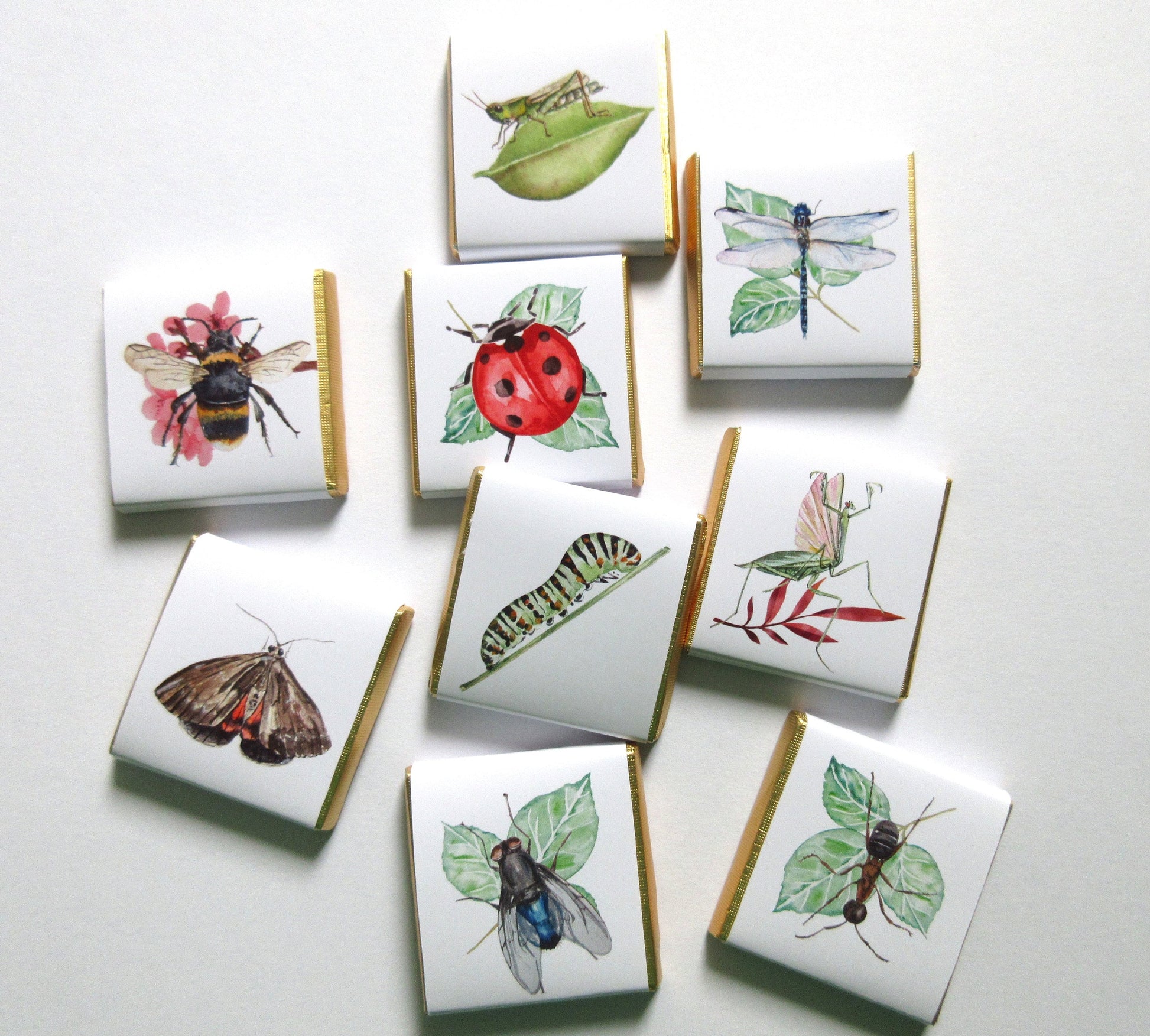 Personalised Garden Bugs Chocolates – Birthday Party Favours, Nature Theme Treats