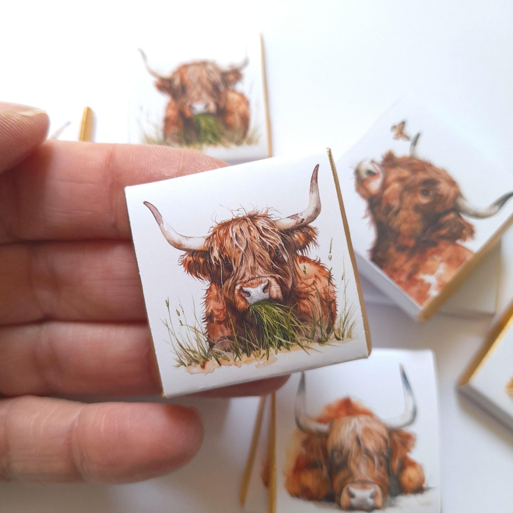 Personalised Highland Cow Wedding Favours - Scottish Coo Chocolate Treats - Custom Birthday Party Favours