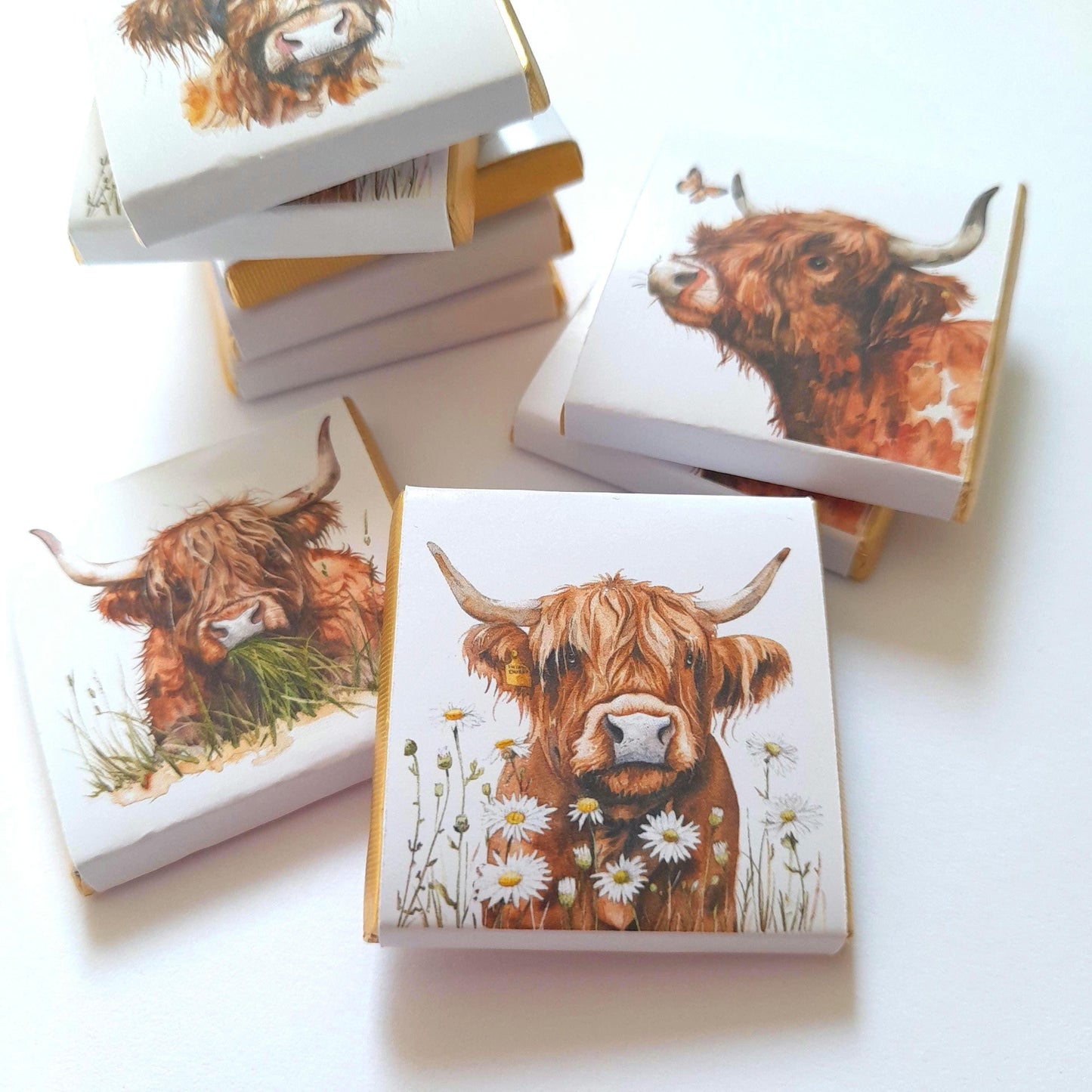 Highland Cows party favours
