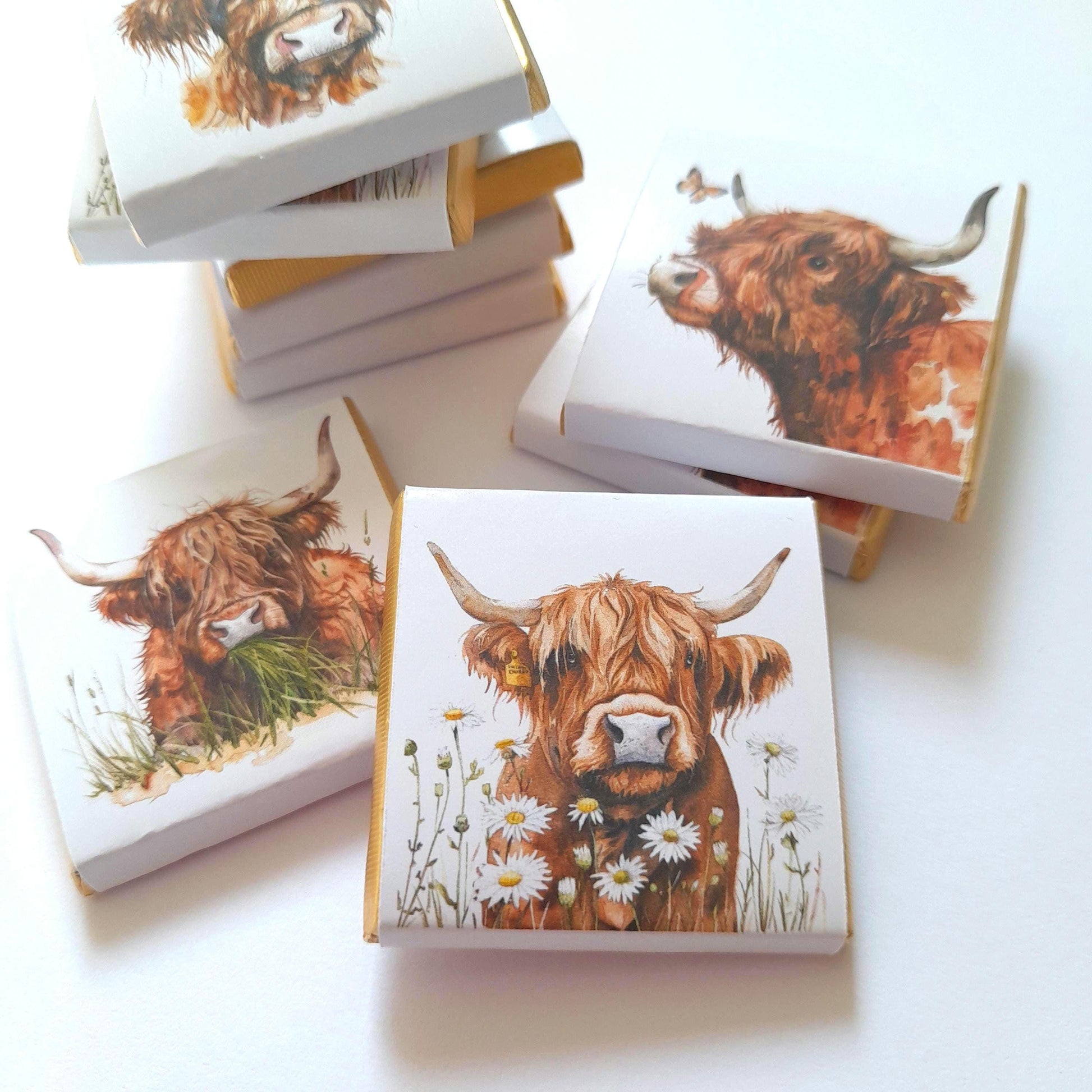 Highland Cows party favours