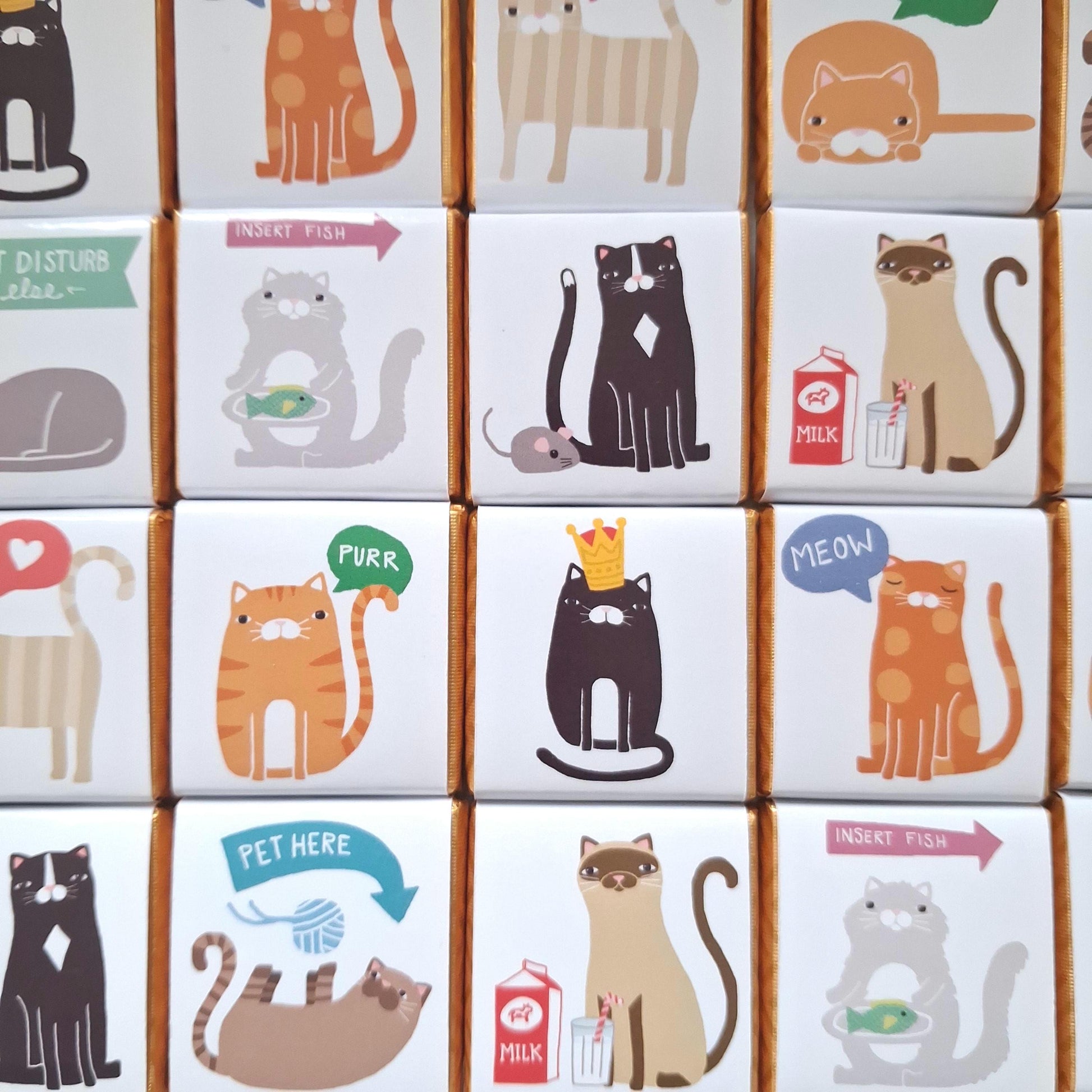 Personalised Cat Chocolate Favours – Kitten Theme Party Treats