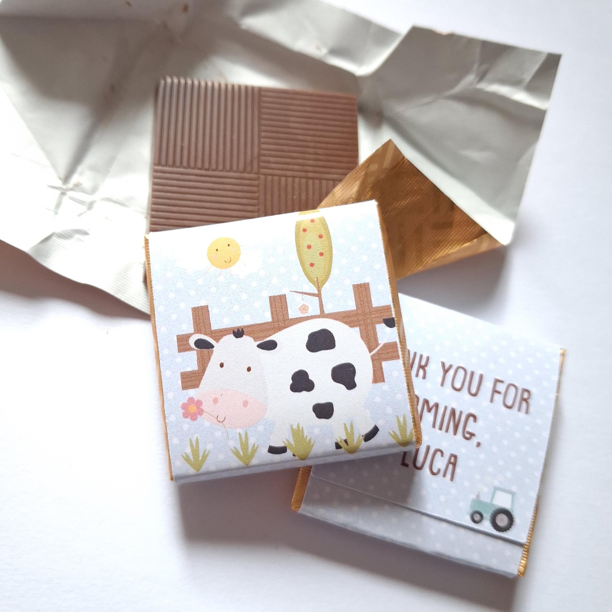 Personalised Farm Chocolate Treats – Barnyard Animal Party Favours, Guest Gifts