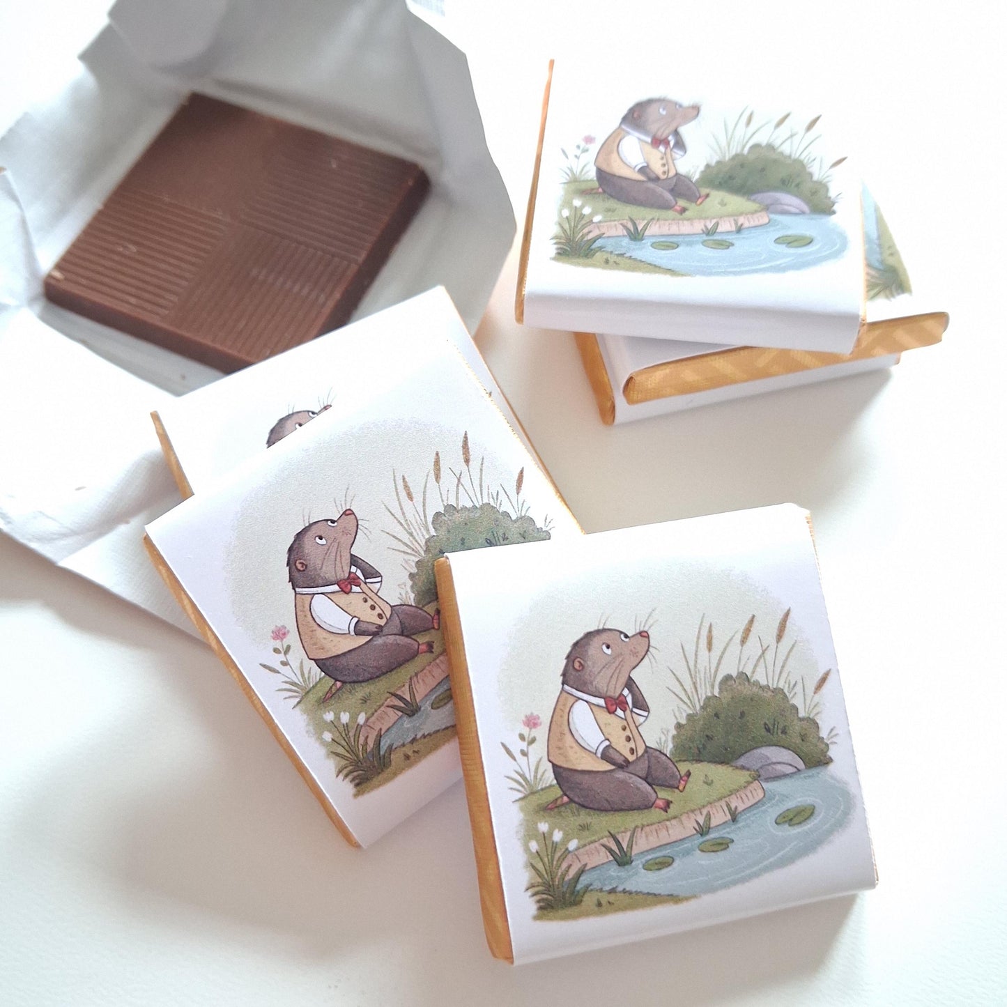 Personalised Little Mole Party Favours, Kids Birthday Treats, Customised Childrens Gift, Party Bag Fillers