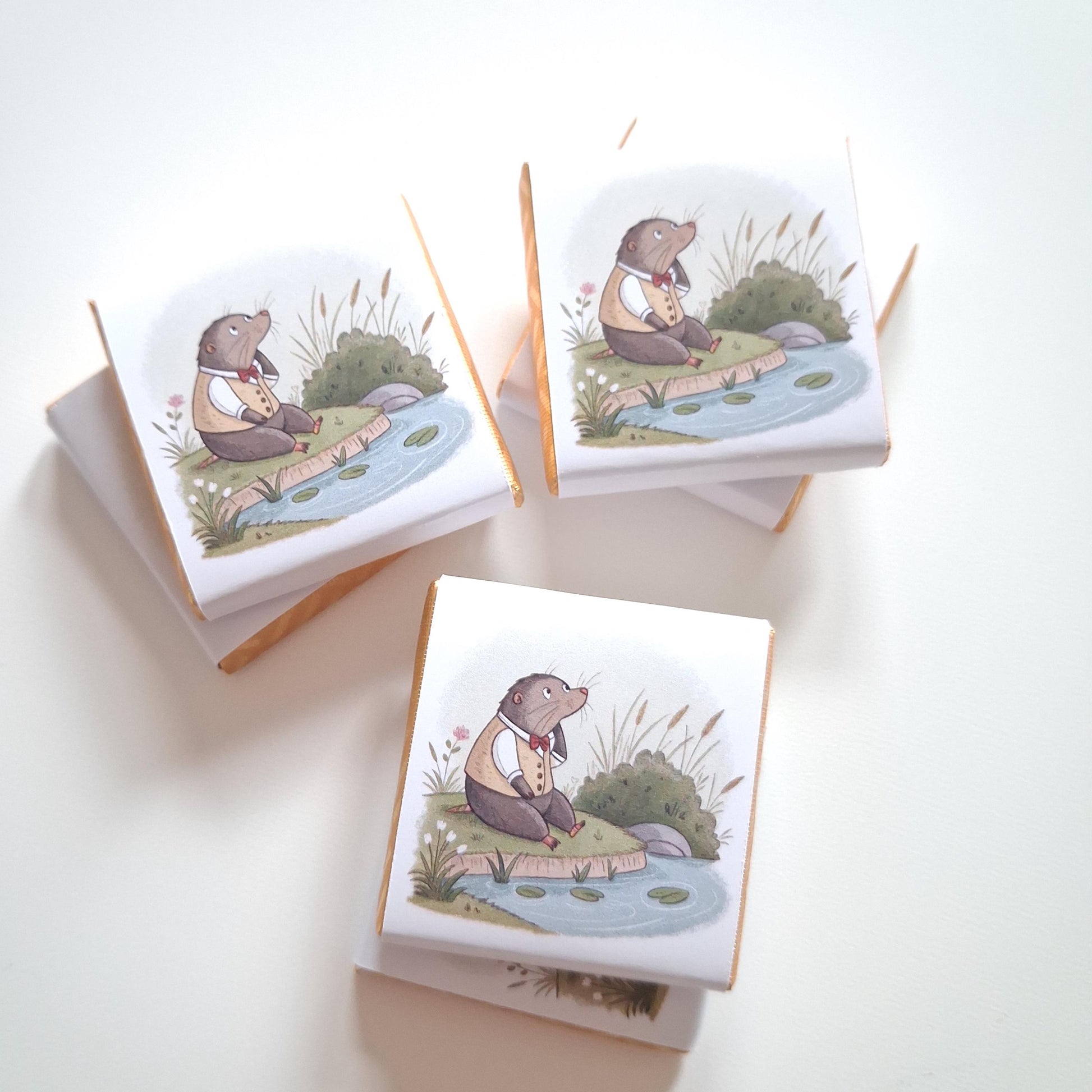 Personalised Little Mole Party Favours, Kids Birthday Treats, Customised Childrens Gift, Party Bag Fillers