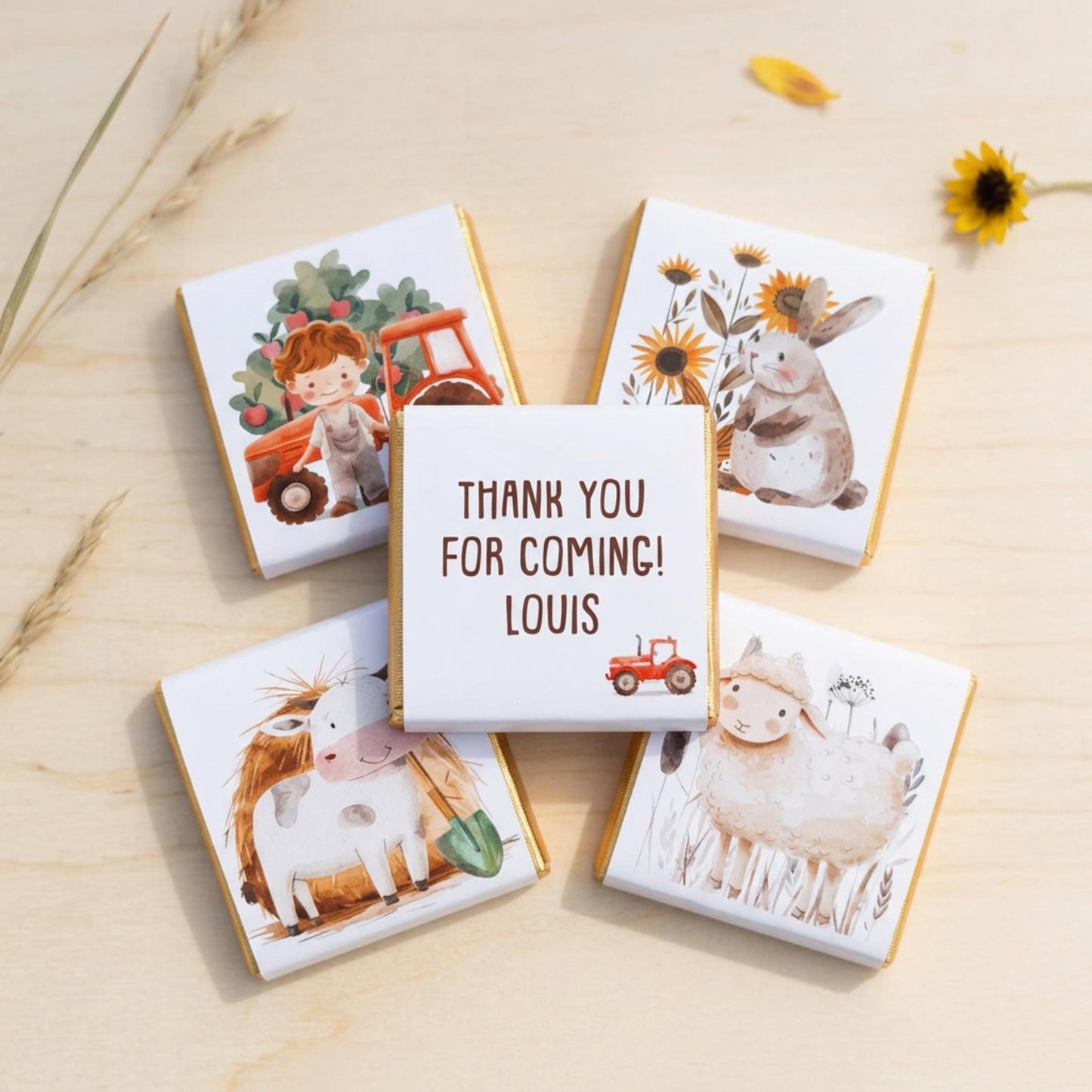 Personalised Farmyard Chocolate Favours – Farm Birthday Party Treats