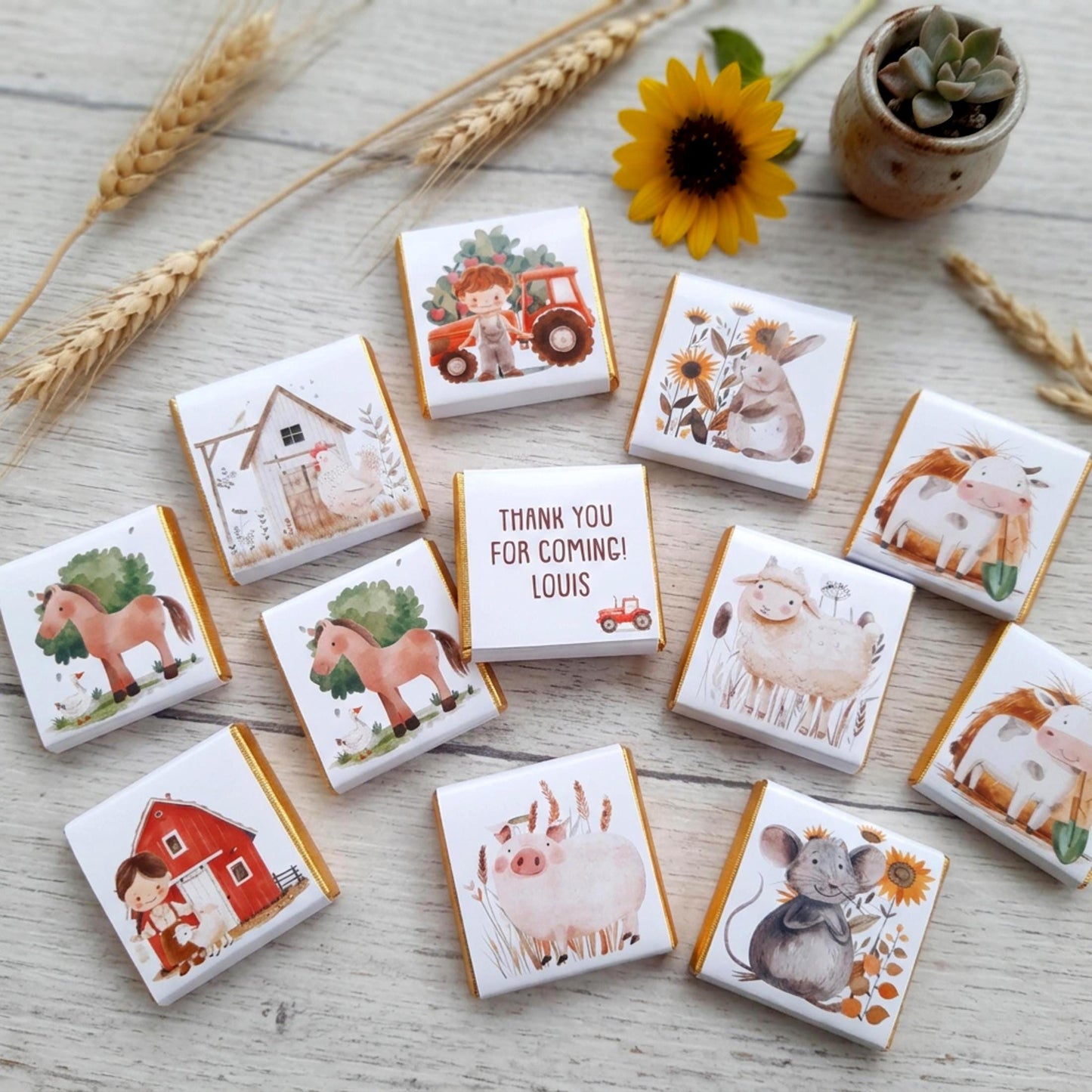 Personalised Farmyard Chocolate Favours – Farm Birthday Party Treats