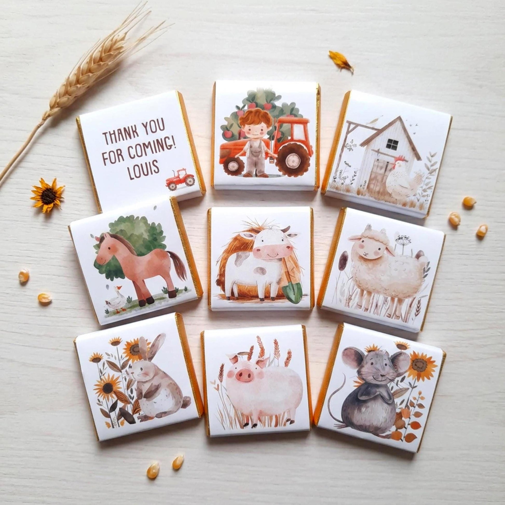 Personalised Farmyard Chocolate Favours – Farm Birthday Party Treats
