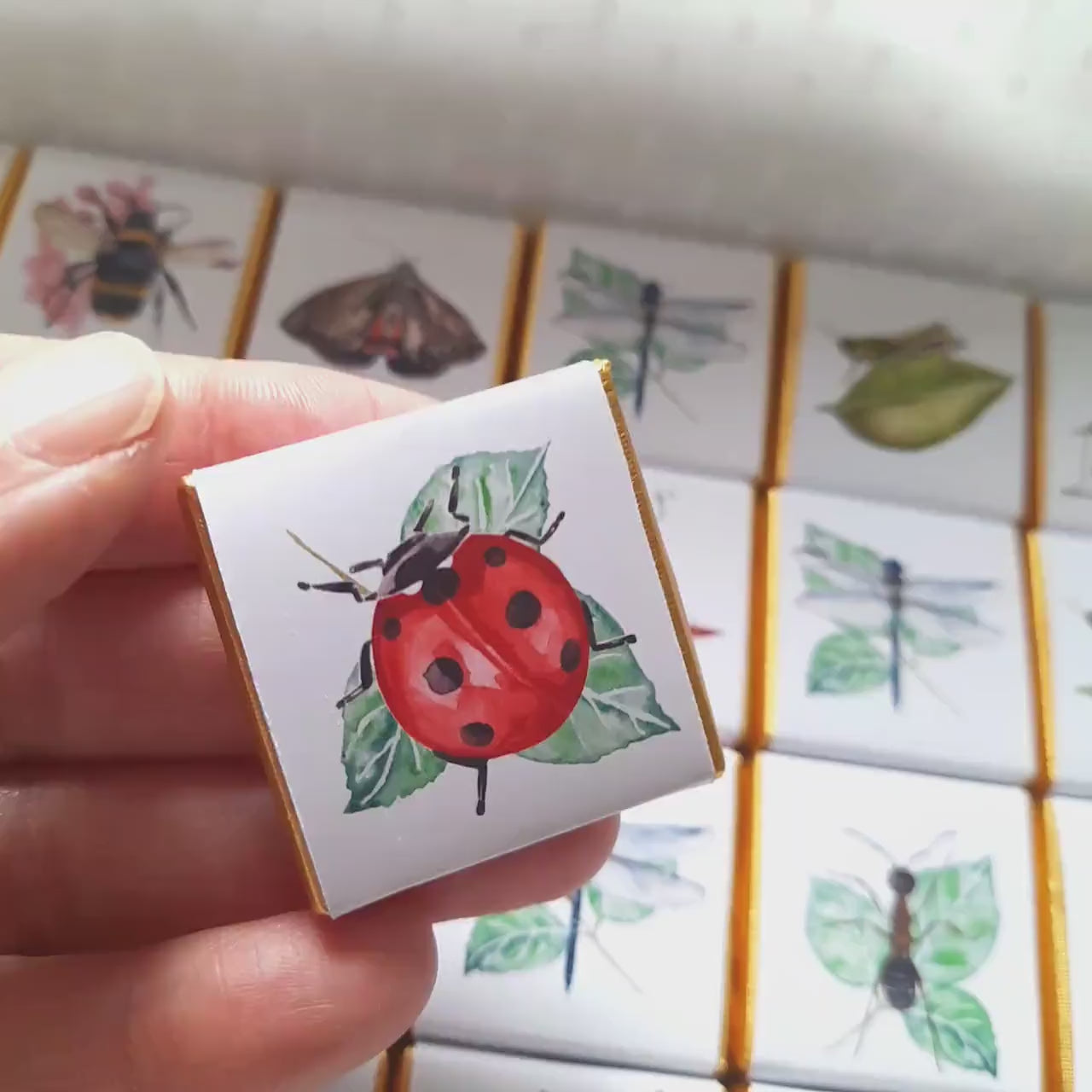 Personalised Garden Bugs Chocolates – Birthday Party Favours, Nature Theme Treats