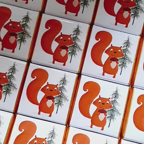 Personalised Red Squirrel Chocolates – Woodland Theme Party Favours, Forest Animal Treats