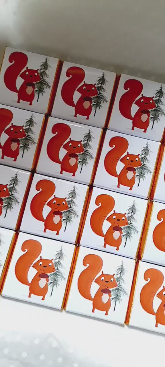 Personalised Red Squirrel Chocolates – Woodland Theme Party Favours, Forest Animal Treats