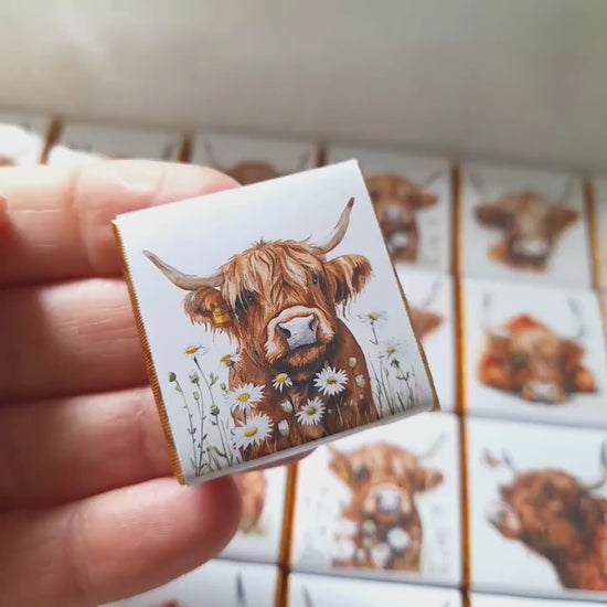 Personalised Highland Cow Wedding Favours - Scottish Coo Chocolate Treats - Custom Birthday Party Favours